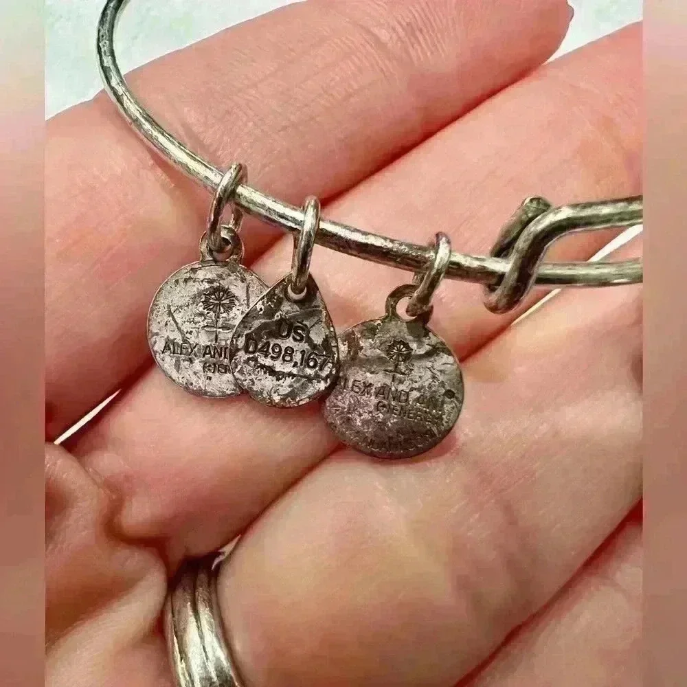 Alex and Ani Skeleton Key Charm Bangle In Rafaelian Silver-slight discoloration
